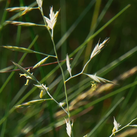 ECOstyle Terra Fertiel 25 Kg 1 ECOstyle Terra Fertiel 25 Kg