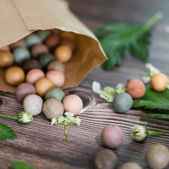 Blossombs Kraft Zak Zaadbolletjes MIX 2 Blossombs Kraft Zak Zaadbolletjes MIX - Afbeelding 2