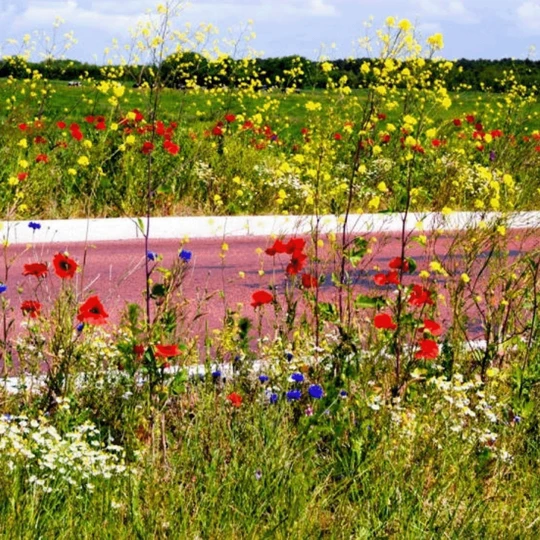 Gloria Gloria Prima 5 Plus Zuurbestendig EPDM 1 Gloria Gloria Prima 5 Plus Zuurbestendig EPDM