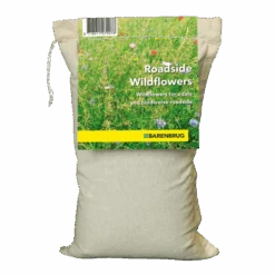 Barenbrug Bermbloemenmengsel 1KG