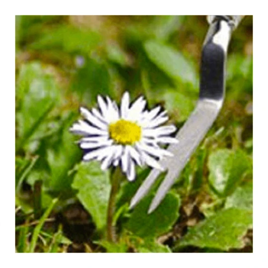 Burgon & Ball RHS Onkruidsteker - Plat 2 Burgon & Ball RHS Onkruidsteker - Plat - Afbeelding 2