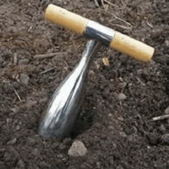 De Wiltfang RHS Pootstok 9 De Wiltfang RHS Pootstok -Groen Verkoop image 321