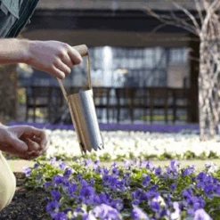 De Wiltfang RHS Bollenpriem, Handmodel -Groen Verkoop image 347